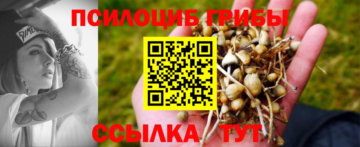 Галлюциногенные грибы Psilocybine cubensis  Вход с VPN  Железноводск 